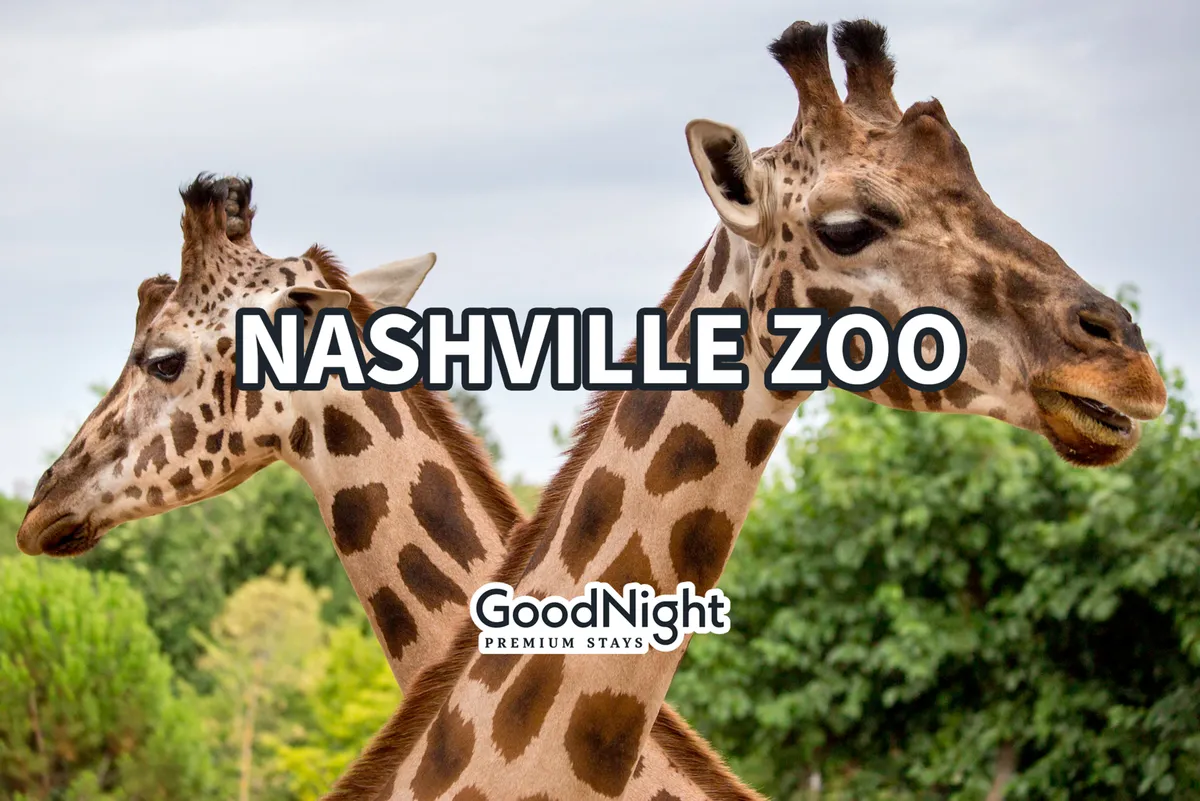 Within a lush, green setting, two giraffes stand front and center, inviting families to experience up-close wildlife encounters and educational tours. The mood is joyful and curious, evoking the excitement of family outings to the Nashville Zoo.